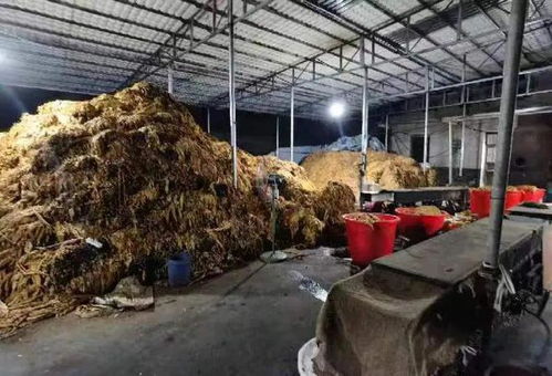 百日行动 查获烟叶烟丝80余吨 衡阳县公安捣毁一地下烟丝加工厂